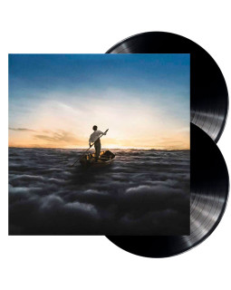 PINK FLOYD - THE ENDLESS RIVER