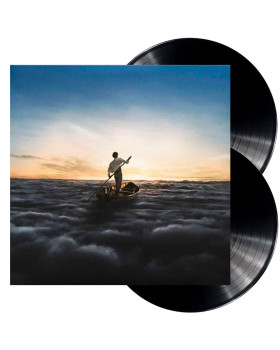 PINK FLOYD - THE ENDLESS RIVER