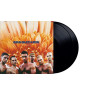RAMMSTEIN-HERZELEID 2LP