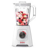 Blender tefal