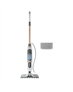 Aurumopp shark steamspot