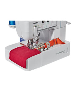 Kandivoltija, brother