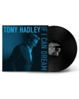 Tony Hadley (Spandau Ballet) - If I Can Dream