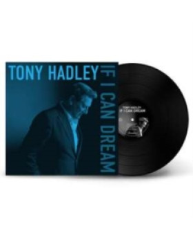 Tony Hadley (Spandau Ballet) - If I Can Dream