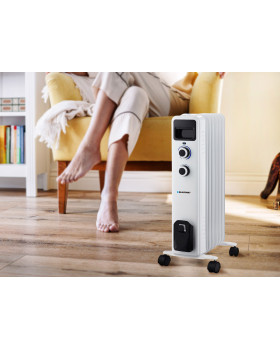 Blaupunkt HOR301-foto2