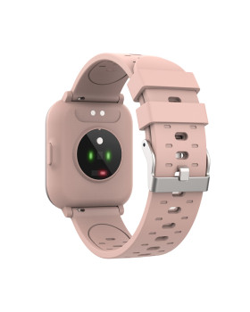 Denver SW-164 rose-foto2