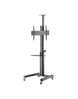 Sbox FS-446-2 (37-70/70kg/600x400)-foto2