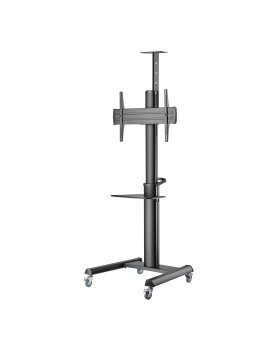 Sbox FS-446-2 (37-70/70kg/600x400)-foto2