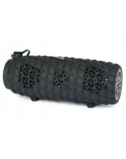 Toshiba Sonic Blast 2 TY-WSP80 Black-foto3