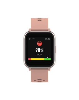 Denver SW-164 rose-foto3