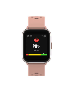 Denver SW-164 rose-foto3