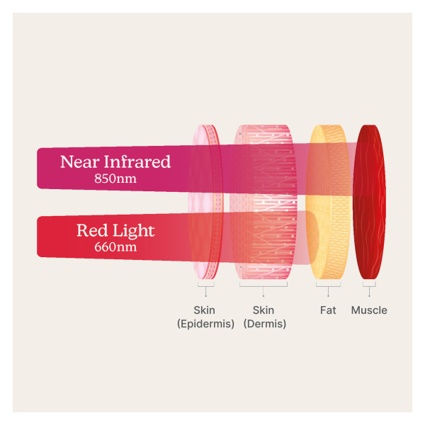 Homedics IFR-SHL300H-WW Infrared Shoulder Wrap + Heat Homedics IFR-SHL300H-WW Infrared Shoulder Wrap + Heat
