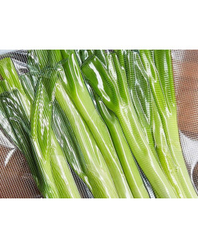 Beper RCO9003028-foto4