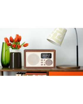 Blaupunkt HR5BR FM/SD/USB/AUX-foto4