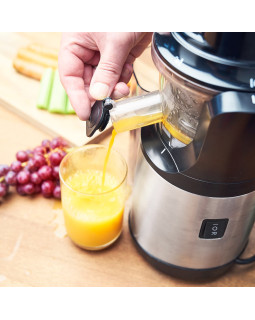 Gastroback 40145 Slow Juicer Advanced Vital-foto4