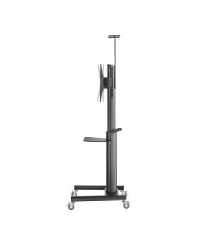 Sbox FS-446-2 (37-70/70kg/600x400)-foto4