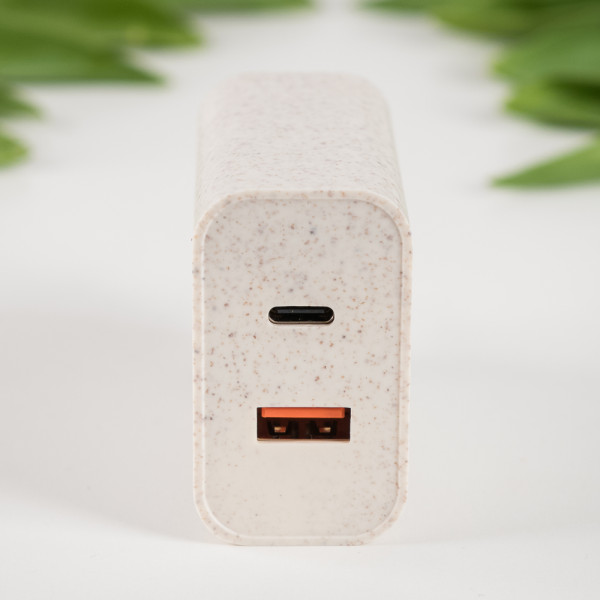 Tellur Green 38W dual port charger Type-C PD20W + USB QC3.0, cream Laadijad