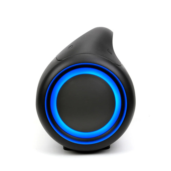 Manta SPK310 Bluetooth kõlarid