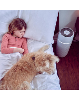 Homedics AP-PET35WT-EU TotalClean PetPlus 5 in 1 Air Purifier-foto5