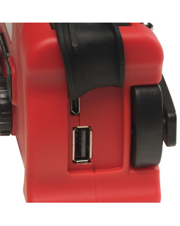 THIN LIZZY-BAD REPUTATION-foto5