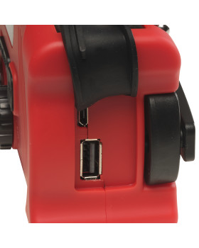 THIN LIZZY-BAD REPUTATION-foto5