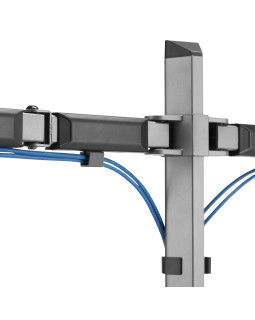 White Shark GMS-3205 Amenhotep II-foto5