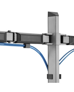 White Shark GMS-3206 Tutankhamun-foto5