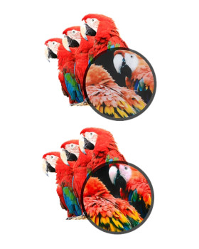 BARNESTORMERS-THE BARNESTORMERS-foto9