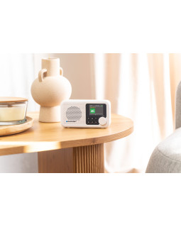 Blaupunkt DR8WH-foto6