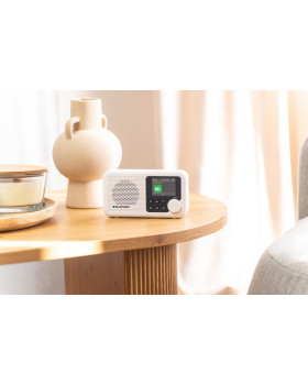 Blaupunkt DR8WH-foto6