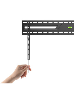 Sbox BL-3869F (50