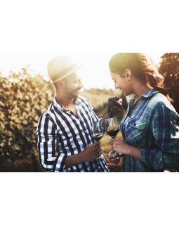 Gastroback Home Sommelier 47000-foto7