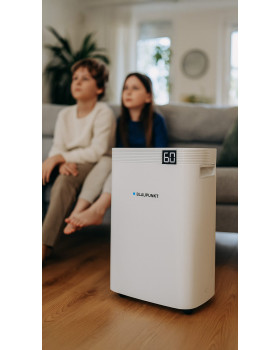 Blaupunkt ADH801-foto7