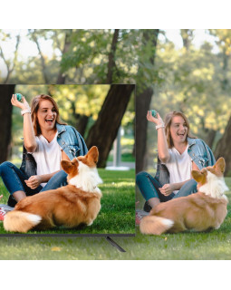 Manta 55LUA123E-foto9