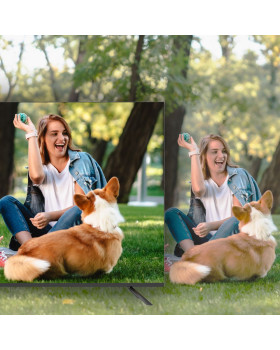 Manta 55LUA123E-foto9