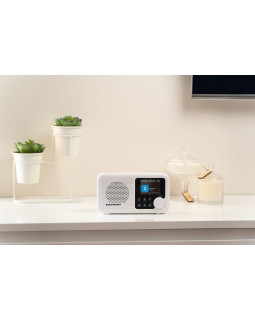 Blaupunkt DR8WH-foto9